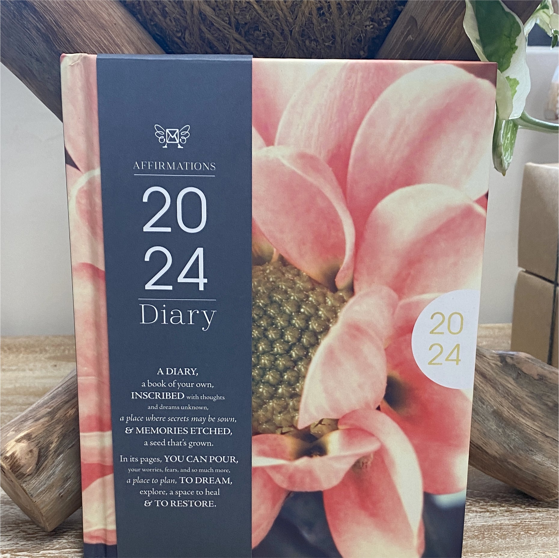 Affirmations Diary 2024 Pink Sages And Sistahood affirmations-diary-2024-pink-sages-and-sistahood